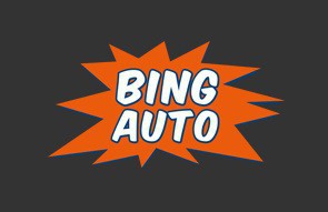 Bing Auto, Professionnel des Pièces Auto dans la Sarthe